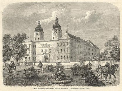 Zeichnung der Landwirtschaftlichen Akademie Proskau